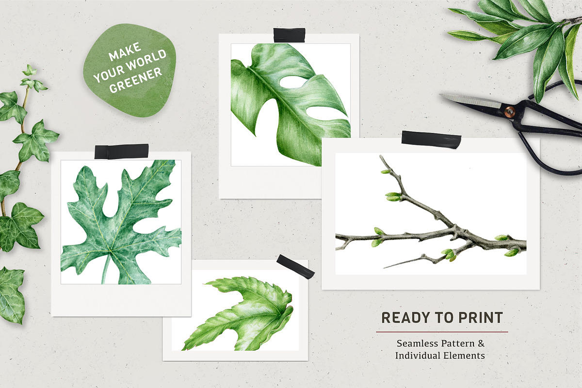 Botanical Greenery Clipart Set, a Decorative Illustration by AnitaPol (Photo 3 of 13)