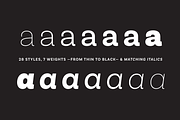 Basic Sans, a Sans Serif Font by Latinotype (Thumbnail 8 of 10)