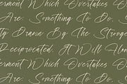 History Postime Modern Script Font, a Script Font by stylishtype.co (Thumbnail 9 of 20)