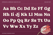 Nolkair - Bold Swashes Retro Serif, a Serif Font by Typia Nesia (Thumbnail 2 of 15)