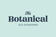 Mad Rascal - Font Family, a Serif Font by Get Studio (Thumbnail 2 of 24)