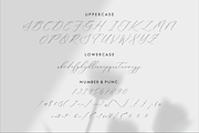 Delistian Valentine Beauty Script, a Script Font by Storytype Studio (Thumbnail 13 of 15)