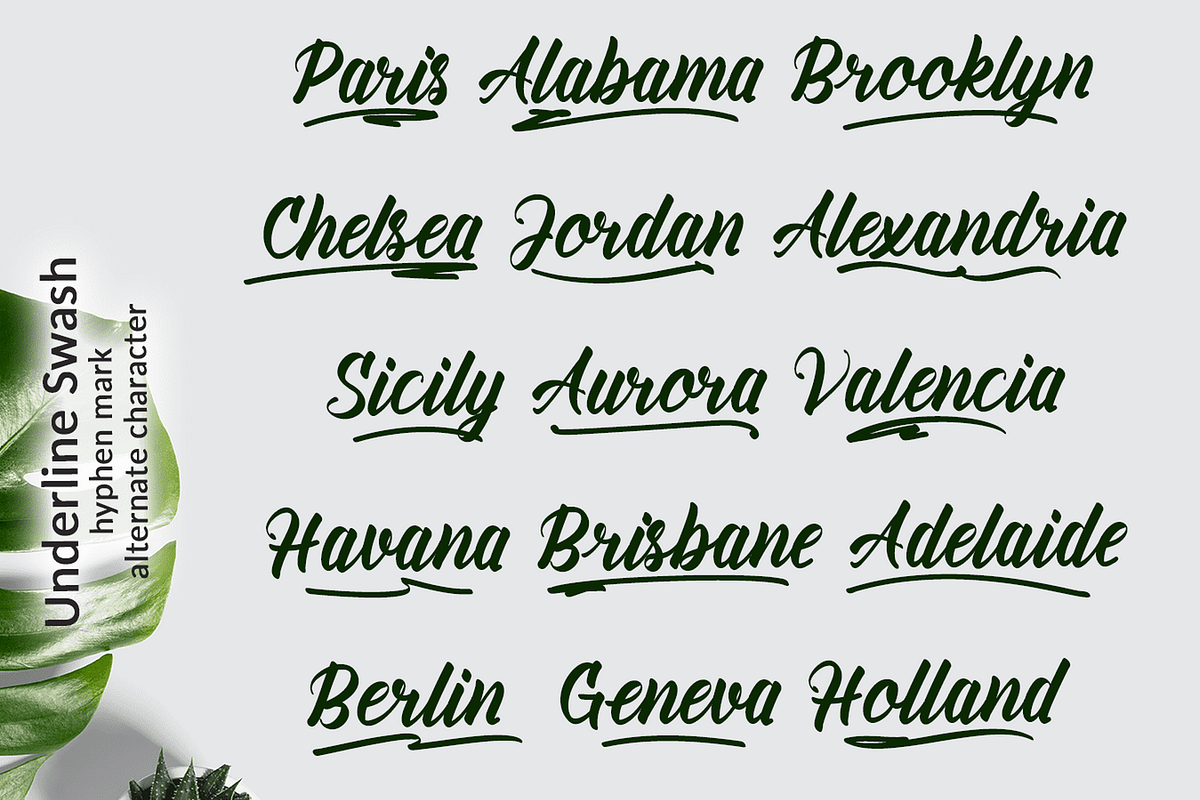 Amiable Forsythia Font, a Script Font by Letterhanna Studio (Photo 13 of 19)