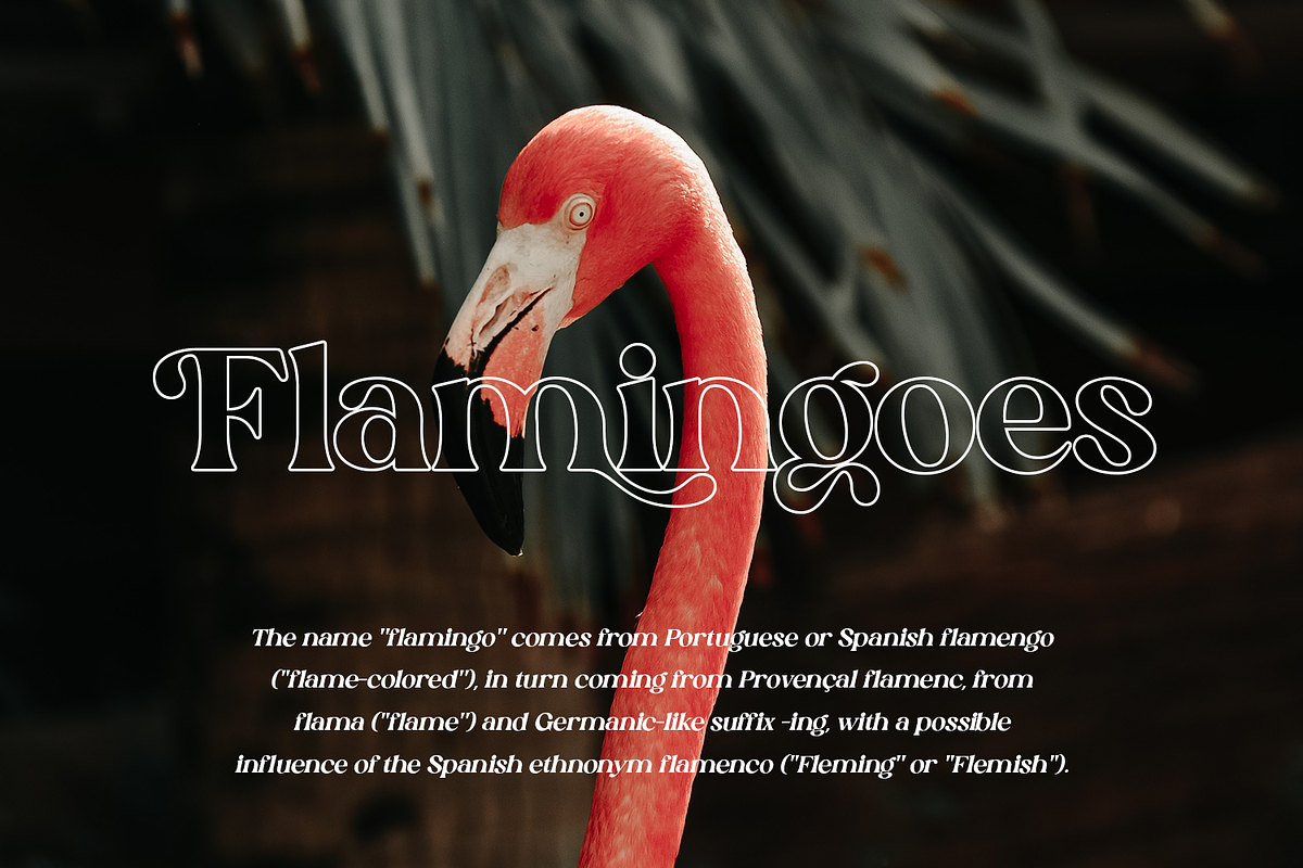 Silk Flower - Modern Serif, a Serif Font by Megi Satyo Widodo (Photo 8 of 26)