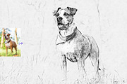 Realistic Drawing & Sketch Effect, an Action Add-On by MRI STUDIO (Thumbnail 17 of 27)