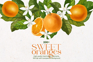 Sweet Oranges, Citrus Watercolor Set