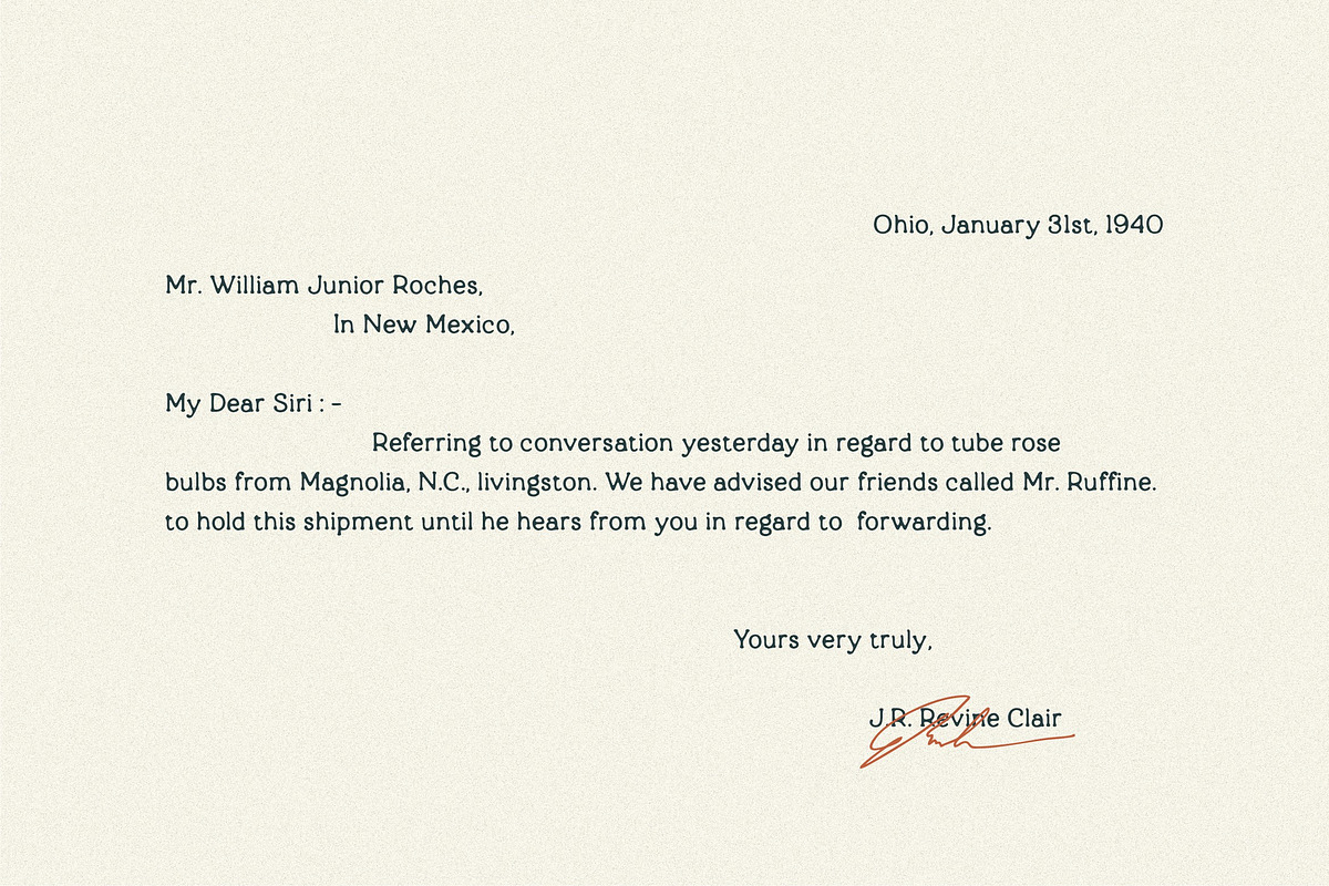 Absolutely Vintage Serif Font, a Serif Font by Letteralle Studios (Photo 2 of 11)