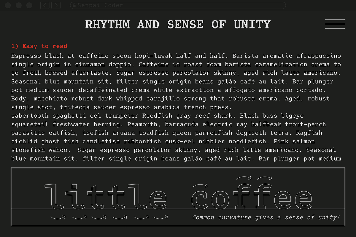 Senpai Coder, a Serif Font by Dharma Type (Photo 10 of 12)