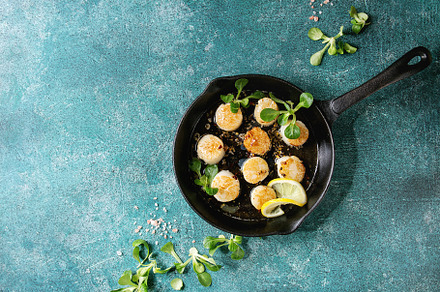 Fried scallops with butter sauce containing scallops, seared, and scallop, a Food & Drink Photo by Natasha Breen