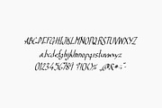 Normal B, a Script Font by TKDoodle (Thumbnail 4 of 8)