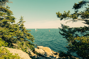 Ocean through the trees containing acadia, national park, and atlantic ocean