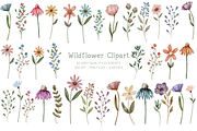 Painted Watercolor Flowers Clipart, a Decorative Illustration by Murphy & Frank (Thumbnail 1 of 8)