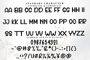 Body, a Script Font by FreshTypeINK (Thumbnail 4 of 7)
