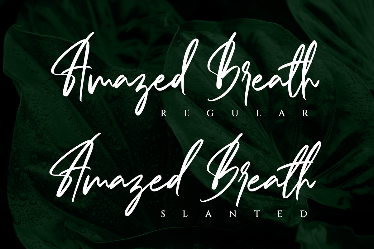 Amazed Breath, a Script Font by Almarkhatype (Photo 13 of 15)