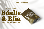 Aubergine - Modern Bold Serif, a Serif Font by Fridaytype (Thumbnail 8 of 9)