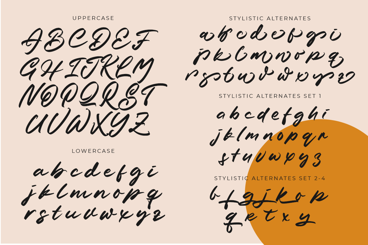 Ave Juliet | A Solid Brush Font, a Script Font by Colllab Studio (Photo 3 of 17)
