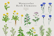 Herbal Apothecary Brand Kit, a Healthcare Illustration by AnitaPol (Thumbnail 4 of 18)