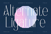Authentic Megarilo Modern Sans Serif, a Sans Serif Font by Letterena Studios (Thumbnail 10 of 15)