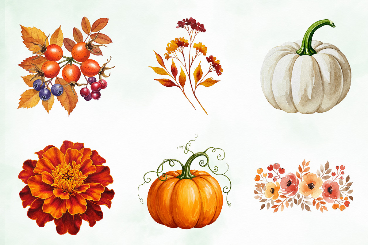 Watercolor Autumn Flower Pumpkin Png, an Illustration by Creative Art (Photo 6 of 7)