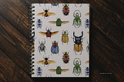 Beetles watercolor collection, an Animal Illustration by Diana Askarova Art (Thumbnail 11 of 12)