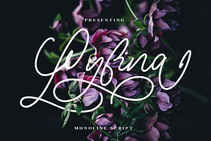 Lyfina Spring Monoline Script