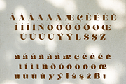 Retro Road Serif, a Serif Font by Creative Foundry (Thumbnail 8 of 8)