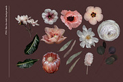 Isolated real flowers clipart set, an Object Graphic by The Graphic Parade (Thumbnail 5 of 14)