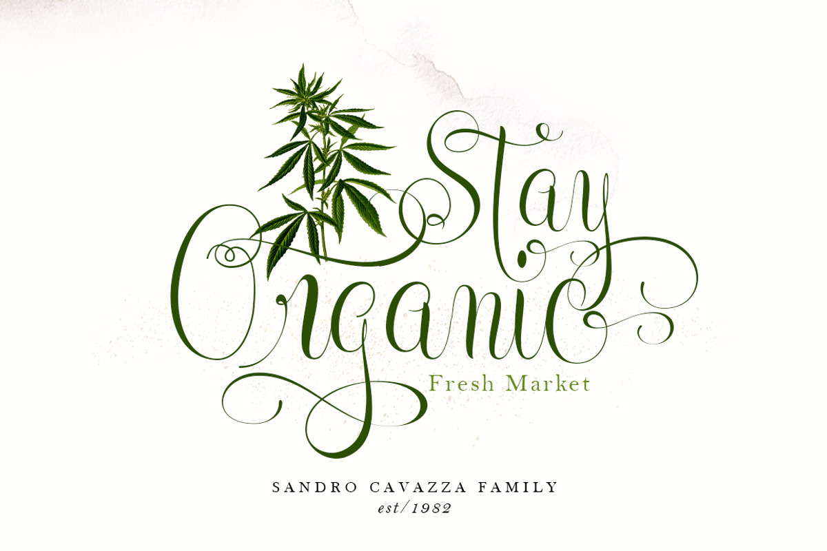 Tritonal, a Script Font by Papermode Co. (Photo 12 of 15)