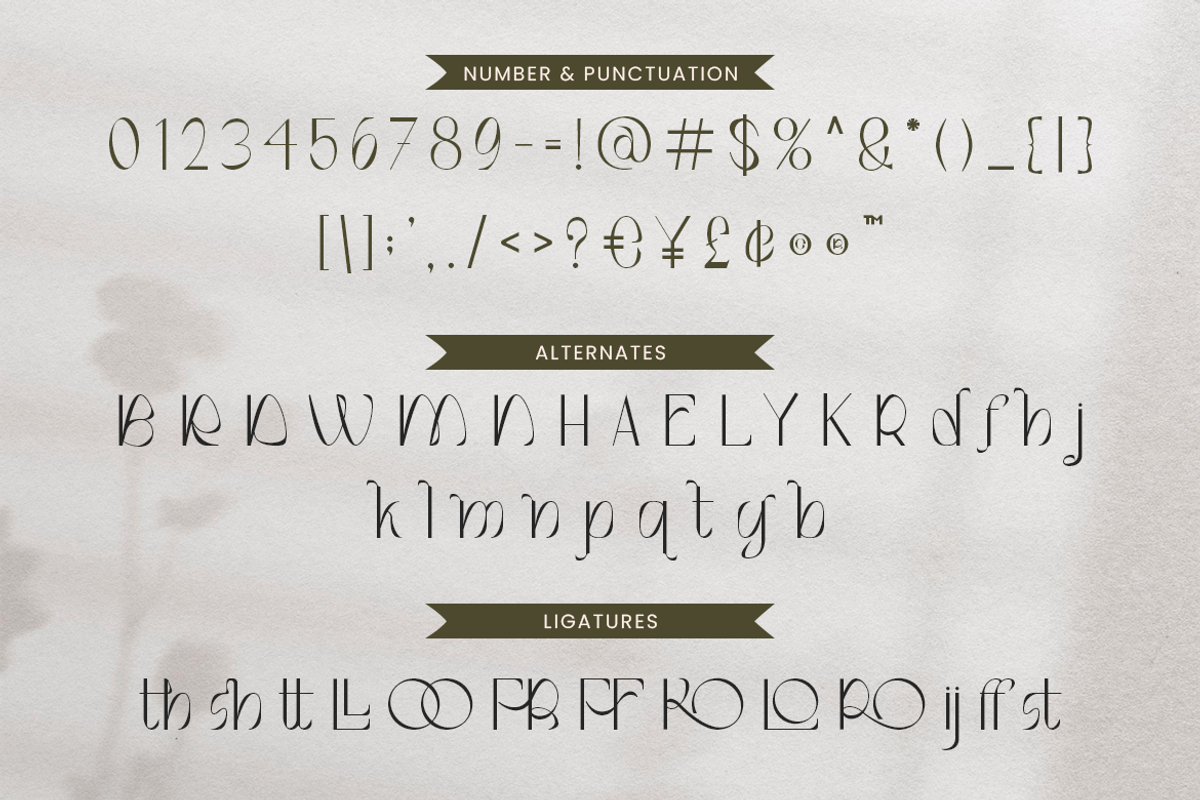 Montero Beautiful Sans, a Sans Serif Font by Creatype Studio (Photo 6 of 10)