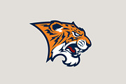 Tiger sport logotype., a Branding & Logo Template by Mister Chek (Thumbnail 1 of 3)