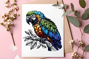 Watercolor Fun Summer Clipart Bundle, an Illustration by RobertsArt (Thumbnail 5 of 5)