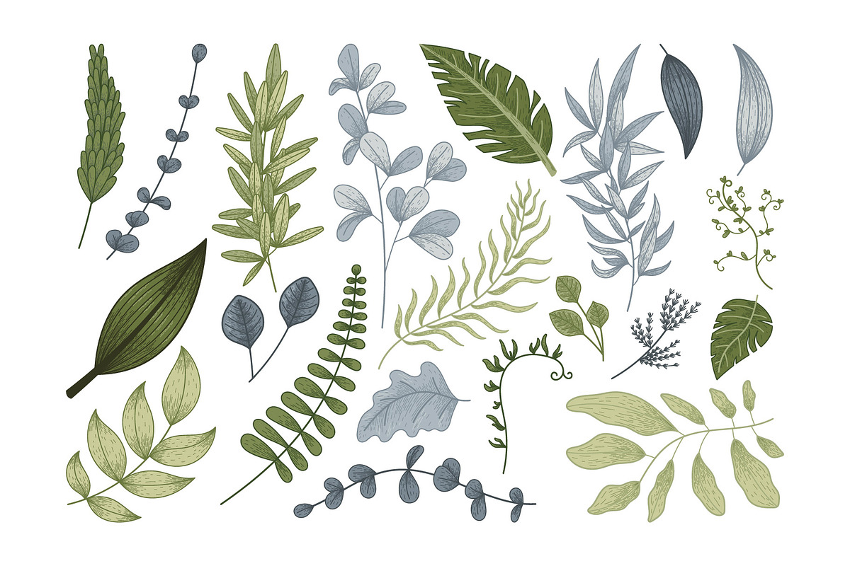Vector Set Decorative Leaves and Twi, an Object Graphic by EeKayStore (Photo 2 of 2)