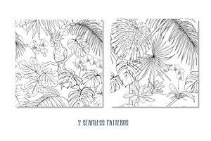 Tropical Plants And Birds Outline