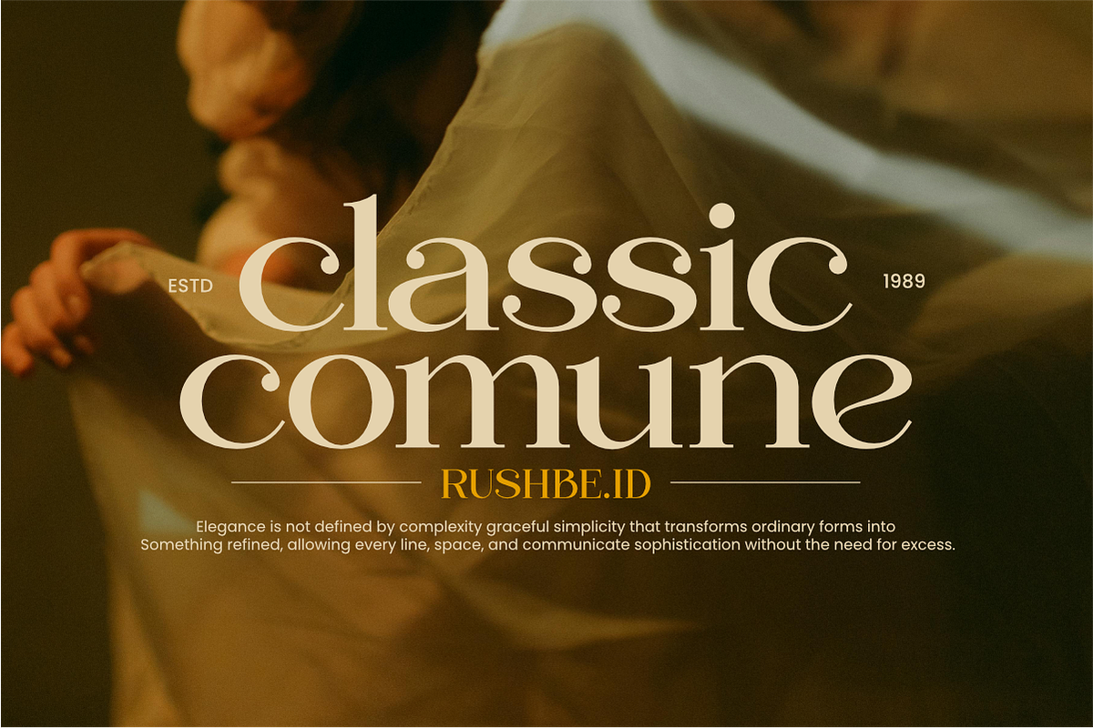 Regani - Modern Serif Typeface, a Serif Font by NexaLine (Photo 2 of 10)