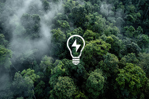 Green Energy Rainforest Lightbulb Id, an Abstract Photo by Pixeness Studio