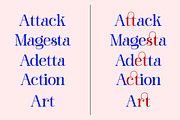 Barfiola Typeface, a Serif Font by MJtypefoundry (Thumbnail 7 of 14)