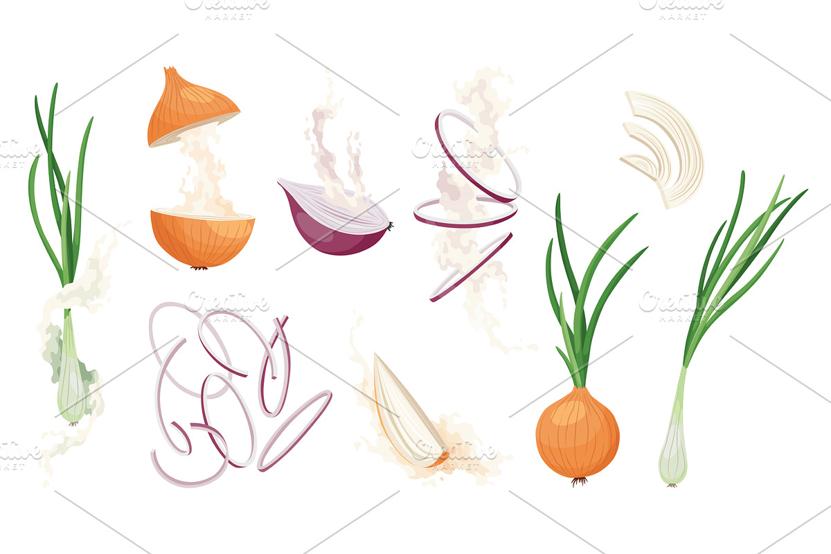 Set of Onions icons. Onion bulb in, a Food Illustration by the8monkey