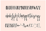 Arelon Handwritten Font, a Sans Serif Font by Adalin (Thumbnail 4 of 4)