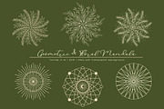 Nature Leaves Flower and Mandala, a Decorative Illustration by Papatongartist (Thumbnail 2 of 7)