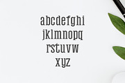 Mahlon Serif Font Family Pack, a Sans Serif Font by Creativetacos (Thumbnail 3 of 5)