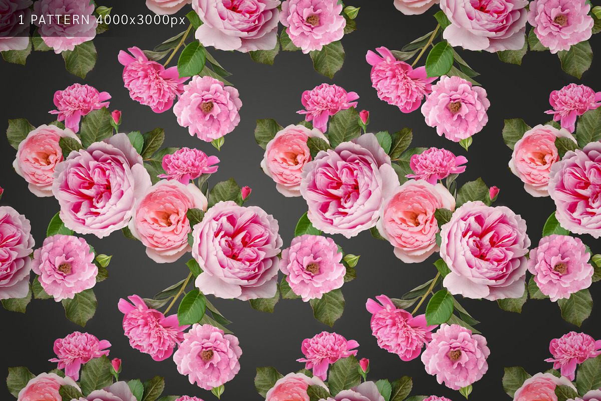 PNG Floral clipart collection, an Object Graphic by Imageblend (Photo 4 of 8)