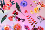 MODERN COLLAGE PORTRAITS, an Object Graphic by Natali Batu (Thumbnail 13 of 20)