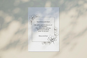 Flower. Line art sketch and patterns, a Decorative Illustration by Canatic (Thumbnail 6 of 7)