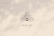 Pre-made Logo Templates + Packaging., a Branding & Logo Template by Olya Creative (Thumbnail 1 of 14)