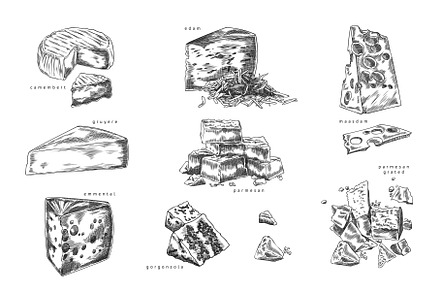 Different cheeses pieces sketch, a Food Illustration by Sabelskaya