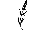Decorative Tribal Feather Vector, an Object Graphic by Designer_Momina (Thumbnail 2 of 18)