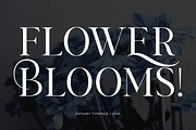 Stylish Elegant Serif Font - Esthary, a Serif Font by Say Studio (Thumbnail 4 of 10)