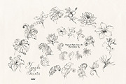 Jungle Saints: Tropical Line Art, an Object Illustration by Purple (Thumbnail 4 of 15)