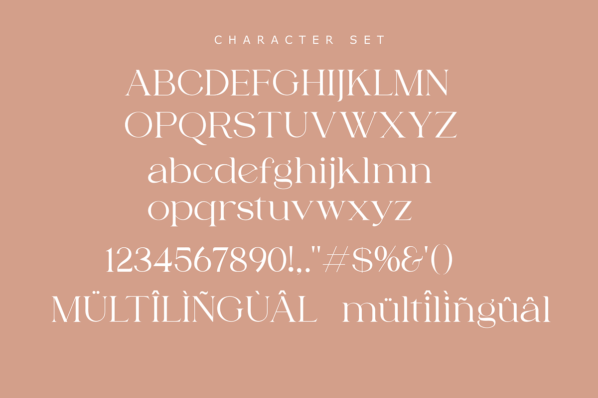 Fragile Chique Serif Font, a Serif Font by zeenesia (Photo 13 of 15)