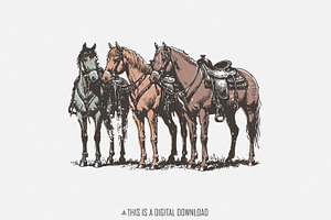 Western Horse PNG, Western, an Illustration by SharpMarketplace